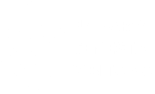 NSV Logo